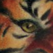 Tattoos - tiger mary - 58281